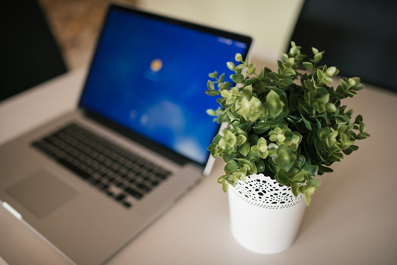 A laptop and small plant on a desk in a modern workspace